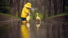 小孩与小黄鸭桌面壁纸